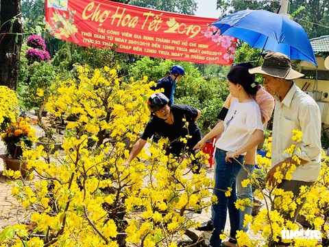 Các chủ hàng hoa khẳng định không đại hạ giá - Ảnh 1. Các chủ hàng hoa khẳng định không đại hạ giá - Ảnh 1.