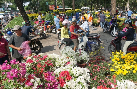 Hoa tết trưa 30 giảm giá hơn phân nửa - Ảnh 5. Hoa tết trưa 30 giảm giá hơn phân nửa - Ảnh 5.