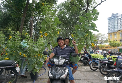 Hoa tết trưa 30 giảm giá hơn phân nửa - Ảnh 8. Hoa tết trưa 30 giảm giá hơn phân nửa - Ảnh 8.