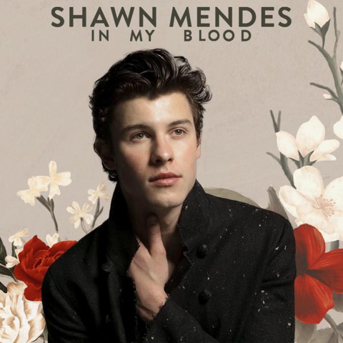Hồi hộp đợi chủ nhân Bài hát của năm ở Grammy 2019 - Ảnh 11. Hồi hộp đợi chủ nhân Bài hát của năm ở Grammy 2019 - Ảnh 11.