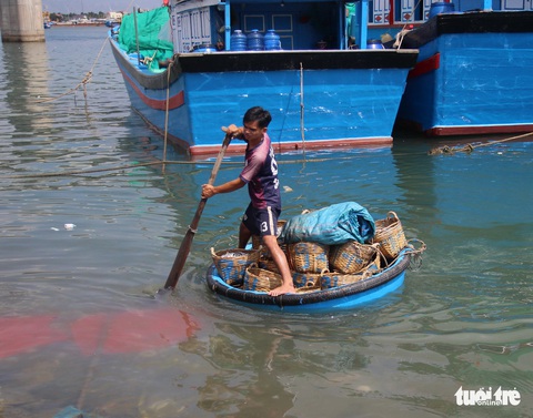 Ngư dân Ninh Thuận về bến xuân, khoang thuyền đầy ắp cá cơm - Ảnh 3. Ngư dân Ninh Thuận về bến xuân, khoang thuyền đầy ắp cá cơm - Ảnh 3.