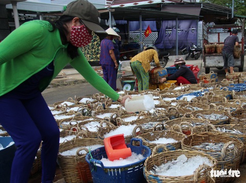 Ngư dân Ninh Thuận về bến xuân, khoang thuyền đầy ắp cá cơm - Ảnh 5. Ngư dân Ninh Thuận về bến xuân, khoang thuyền đầy ắp cá cơm - Ảnh 5.