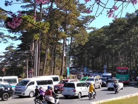 Du khách căng lều ngủ ở bờ Hồ Xuân Hương vì Đà Lạt hết phòng - Ảnh 1. Du khách căng lều ngủ ở bờ Hồ Xuân Hương vì Đà Lạt hết phòng - Ảnh 1.