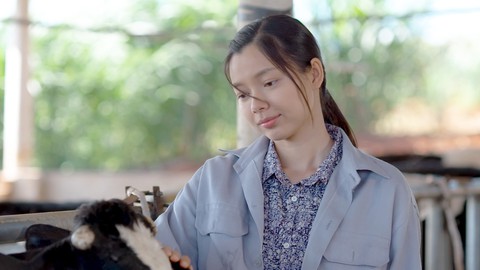 Mùa cúc Susi và cách gõ cửa tìm khán giả không xem tivi - Ảnh 1. Mùa cúc Susi và cách gõ cửa tìm khán giả không xem tivi - Ảnh 1.