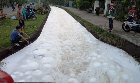 Mang thùng dung dịch lạ ra kênh súc rửa, nước sủi bọt, cá chết - Ảnh 1. Mang thùng dung dịch lạ ra kênh súc rửa, nước sủi bọt, cá chết - Ảnh 1.