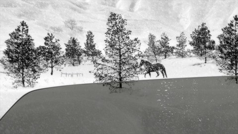 24 Frames - Lời giã biệt đầy chất thơ của Abbas Kiarostami - Ảnh 5. 24 Frames - Lời giã biệt đầy chất thơ của Abbas Kiarostami - Ảnh 5.