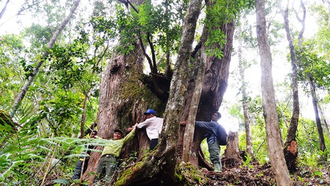 Tây Giang gìn giữ rừng xanh - Kỳ 5: Đội kiểm lâm làng - Ảnh 1. Tây Giang gìn giữ rừng xanh - Kỳ 5: Đội kiểm lâm làng - Ảnh 1.