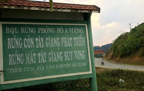 Tây Giang gìn giữ rừng xanh - Kỳ cuối: Lễ Tạ ơn rừng và giấc mơ khu bảo tồn - Ảnh 1. Tây Giang gìn giữ rừng xanh - Kỳ cuối: Lễ Tạ ơn rừng và giấc mơ khu bảo tồn - Ảnh 1.