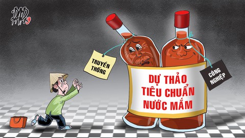 Kiến tạo và tiêu chuẩn nước mắm - Ảnh 1. Kiến tạo và tiêu chuẩn nước mắm - Ảnh 1.