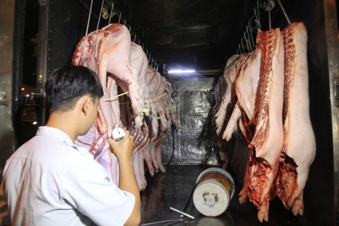 Dịch tả heo vào miền Nam là thảm họa - Ảnh 1. Dịch tả heo vào miền Nam là thảm họa - Ảnh 1.