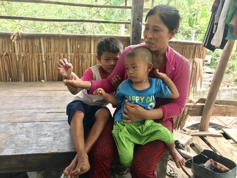 Cho phép bắn hạ con khỉ hoang cắn người ở Sóc Trăng - Ảnh 2. Cho phép bắn hạ con khỉ hoang cắn người ở Sóc Trăng - Ảnh 2.