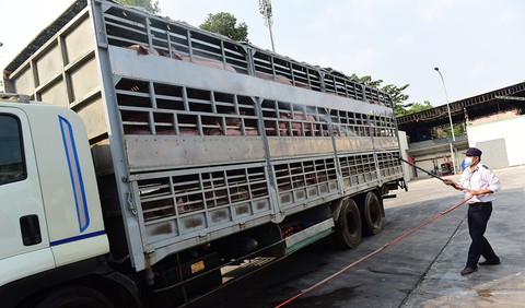 Sợ dịch, người dân chọn mua thịt heo của đơn vị có tóc - Ảnh 4. Sợ dịch, người dân chọn mua thịt heo của đơn vị có tóc - Ảnh 4.