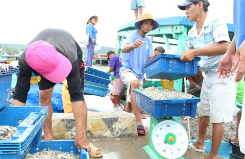 Masan Phú Quốc nói dự thảo tiêu chuẩn nước mắm bị tuýt còi... khả thi - Ảnh 1. Masan Phú Quốc nói dự thảo tiêu chuẩn nước mắm bị tuýt còi... khả thi - Ảnh 1.