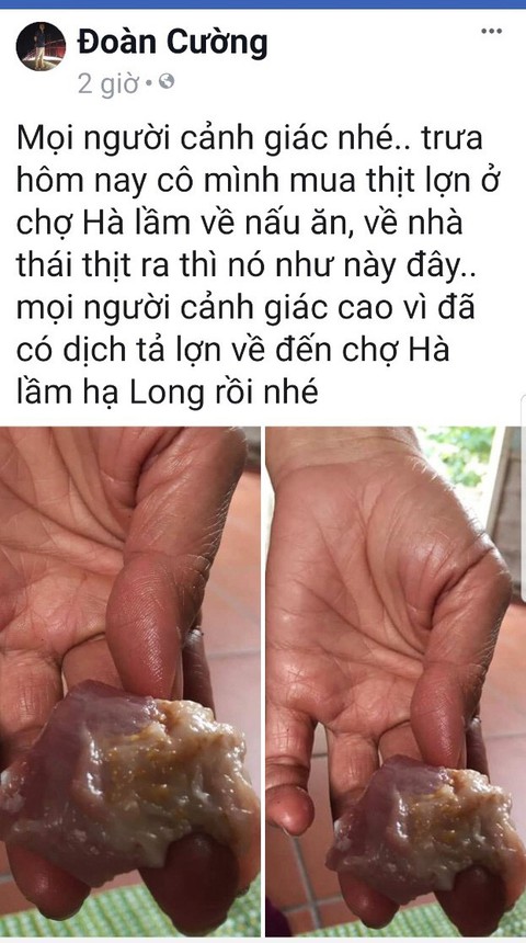 Lại đăng tin vịt dịch tả heo, triệu tập chủ tài khoản Facebook - Ảnh 1. Lại đăng tin vịt dịch tả heo, triệu tập chủ tài khoản Facebook - Ảnh 1.