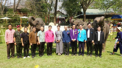 Ngày voi quốc gia Thái Lan: tắm, chơi và ăn rau quả - Ảnh 11. Ngày voi quốc gia Thái Lan: tắm, chơi và ăn rau quả - Ảnh 11.