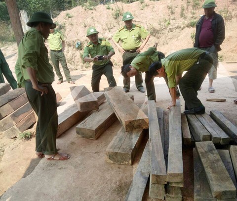 Kiểm tra vụ phá rừng ở Vườn quốc gia Phong Nha - Kẻ Bàng - Ảnh 1. Kiểm tra vụ phá rừng ở Vườn quốc gia Phong Nha - Kẻ Bàng - Ảnh 1.