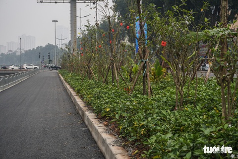 Hà Nội sắp có tuyến đường dành cho người đi bộ cạnh sông Tô Lịch - Ảnh 6. Hà Nội sắp có tuyến đường dành cho người đi bộ cạnh sông Tô Lịch - Ảnh 6.