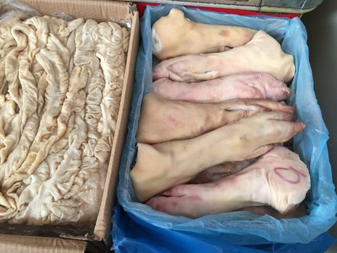 Thật - giả mức độ dịch tả heo châu Phi ở Trung Quốc - Ảnh 1. Thật - giả mức độ dịch tả heo châu Phi ở Trung Quốc - Ảnh 1.