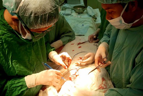 Bệnh viện Ung bướu TP.HCM đã thử nghiệm ứng dụng trí tuệ nhân tạo trị ung thư - Ảnh 1. Bệnh viện Ung bướu TP.HCM đã thử nghiệm ứng dụng trí tuệ nhân tạo trị ung thư - Ảnh 1.