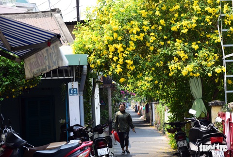 Hoa huỳnh liên rợp bóng đường ray xe lửa chiều Sài Gòn - Ảnh 3. Hoa huỳnh liên rợp bóng đường ray xe lửa chiều Sài Gòn - Ảnh 3.