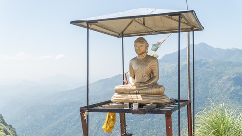 Băng qua những đồi chè xanh mướt ở Sri Lanka - Ảnh 2. Băng qua những đồi chè xanh mướt ở Sri Lanka - Ảnh 2.