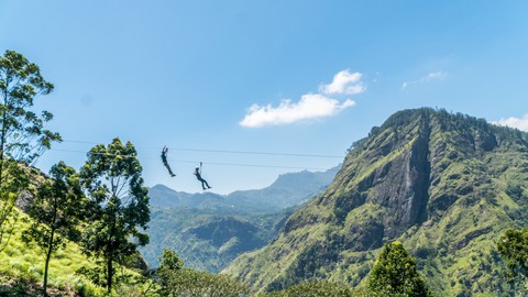Băng qua những đồi chè xanh mướt ở Sri Lanka - Ảnh 6. Băng qua những đồi chè xanh mướt ở Sri Lanka - Ảnh 6.