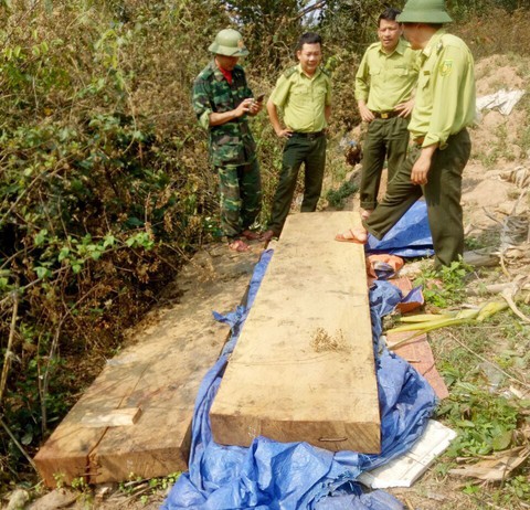 Kiểm điểm trách nhiệm vụ phá rừng ở Phong Nha - Kẻ Bàng - Ảnh 1. Kiểm điểm trách nhiệm vụ phá rừng ở Phong Nha - Kẻ Bàng - Ảnh 1.
