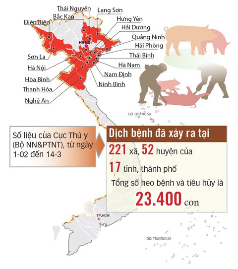 Ngăn dịch tả heo lan vào miền Nam - Ảnh 3. Ngăn dịch tả heo lan vào miền Nam - Ảnh 3.
