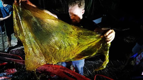 Cá voi chết thảm vì ăn 40kg rác nhựa - Ảnh 1. Cá voi chết thảm vì ăn 40kg rác nhựa - Ảnh 1.