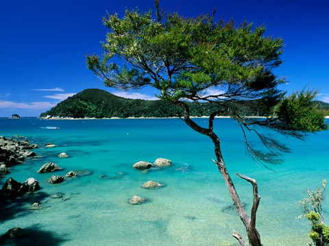 Có một New Zealand nguyên sơ và thanh bình - Ảnh 10. Có một New Zealand nguyên sơ và thanh bình - Ảnh 10.
