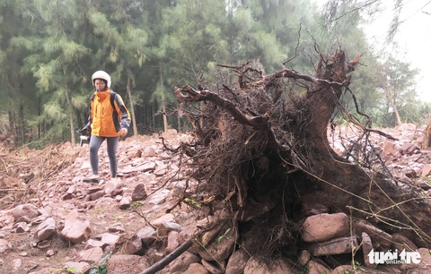 Yêu cầu kiểm điểm vì để dân làm đầm tôm phá rừng phòng hộ - Ảnh 1. Yêu cầu kiểm điểm vì để dân làm đầm tôm phá rừng phòng hộ - Ảnh 1.
