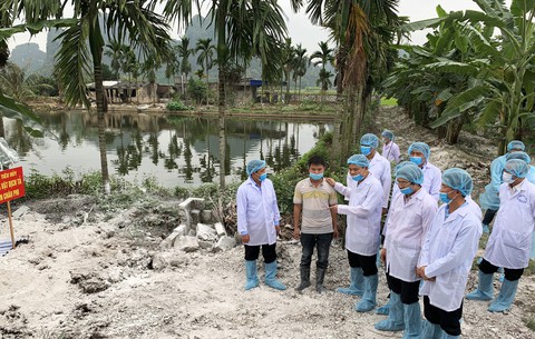 Dịch tả heo châu Phi có ở tỉnh thành, bộ trưởng NN & PTNT xuống xã - Ảnh 1. Dịch tả heo châu Phi có ở tỉnh thành, bộ trưởng NN & PTNT xuống xã - Ảnh 1.