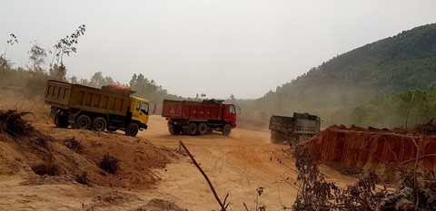 Bình Định: doanh nghiệp đào đất trồng rừng san lấp công trình - Ảnh 2. Bình Định: doanh nghiệp đào đất trồng rừng san lấp công trình - Ảnh 2.