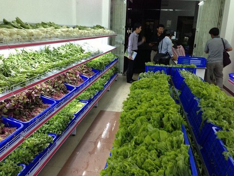 Những dấu hiệu nhận biết nhiễm sán lợn - Ảnh 1. Những dấu hiệu nhận biết nhiễm sán lợn - Ảnh 1.