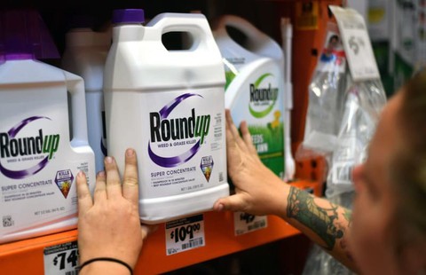 Tòa tuyên thuốc Monsanto gây ung thư: Án lệ tốt cho nạn nhân da cam VN? - Ảnh 4. Tòa tuyên thuốc Monsanto gây ung thư: Án lệ tốt cho nạn nhân da cam VN? - Ảnh 4.