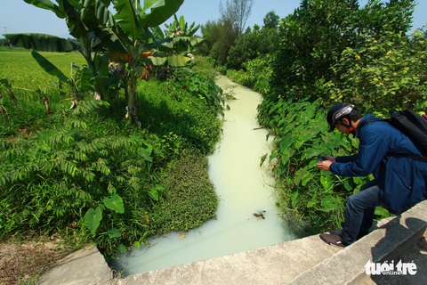 Kênh đổi màu trắng như sữa, nghi nước xả thải từ khu công nghiệp - Ảnh 1. Kênh đổi màu trắng như sữa, nghi nước xả thải từ khu công nghiệp - Ảnh 1.