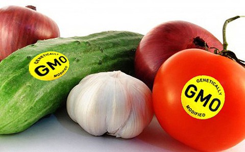 Nhật Bản cho phép bán thực phẩm biến đổi gene - Ảnh 1.