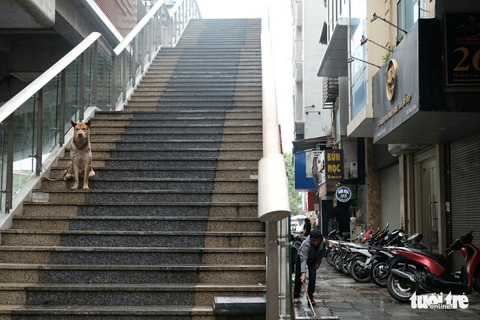 6 tháng rồi mà nhà ga đường sắt Cát Linh - Hà Đông nơi ngổn ngang, nơi ngập rác - Ảnh 9. 6 tháng rồi mà nhà ga đường sắt Cát Linh - Hà Đông nơi ngổn ngang, nơi ngập rác - Ảnh 9.
