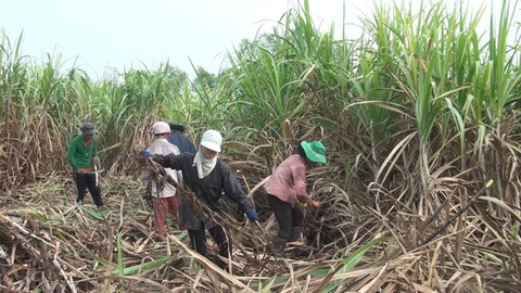 Tranh cãi xung quanh đề xuất áp thuế tiêu thụ đặc biệt lên nước ngọt - Ảnh 2. Tranh cãi xung quanh đề xuất áp thuế tiêu thụ đặc biệt lên nước ngọt - Ảnh 2.