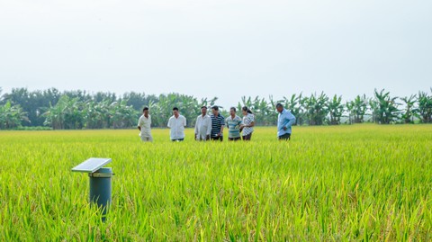 Cù lao điện toán đám mây - Ảnh 1. Cù lao điện toán đám mây - Ảnh 1.