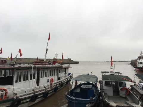 Năm 2019 bão tập trung nhiều ở khu vực Trung Bộ - Ảnh 1. Năm 2019 bão tập trung nhiều ở khu vực Trung Bộ - Ảnh 1.