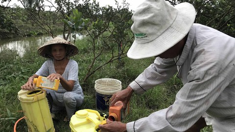 Thuốc diệt cỏ gây ung thư: dây dưa không cấm, bất lợi cho nông nghiệp - Ảnh 1. Thuốc diệt cỏ gây ung thư: dây dưa không cấm, bất lợi cho nông nghiệp - Ảnh 1.