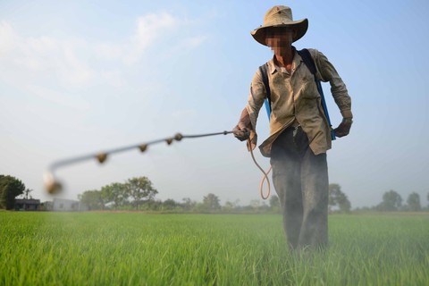 Thuốc diệt cỏ gây ung thư: Biết độc, sao chưa cấm? - Ảnh 1. Thuốc diệt cỏ gây ung thư: Biết độc, sao chưa cấm? - Ảnh 1.