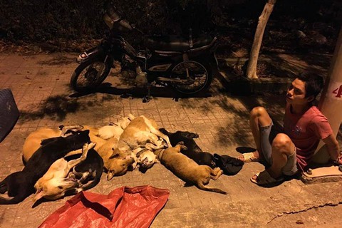 Bắt thanh niên trộm chó bán lấy tiền mua ma túy - Ảnh 1. Bắt thanh niên trộm chó bán lấy tiền mua ma túy - Ảnh 1.
