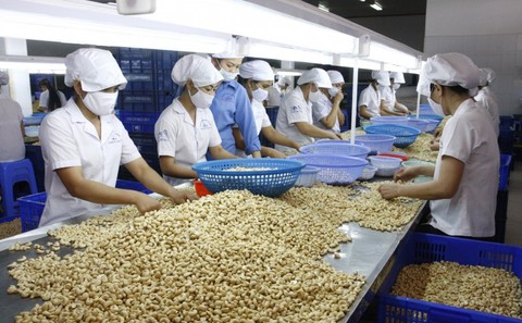 Quy định việc ký quỹ của doanh nghiệp cho thuê lại lao động - Ảnh 1. Quy định việc ký quỹ của doanh nghiệp cho thuê lại lao động - Ảnh 1.