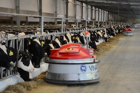 Vinamilk vận hành trang trại bò sữa độc lập lớn nhất Việt Nam - Ảnh 2. Vinamilk vận hành trang trại bò sữa độc lập lớn nhất Việt Nam - Ảnh 2.