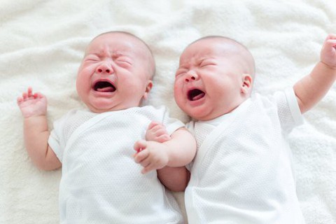 Một cặp sinh đôi nhưng có đến... 2 người cha - Ảnh 1. Một cặp sinh đôi nhưng có đến... 2 người cha - Ảnh 1.