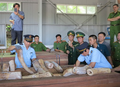 Bắt giữ 9,1 tấn nghi là ngà voi ở cảng Tiên Sa - Ảnh 2. Bắt giữ 9,1 tấn nghi là ngà voi ở cảng Tiên Sa - Ảnh 2.