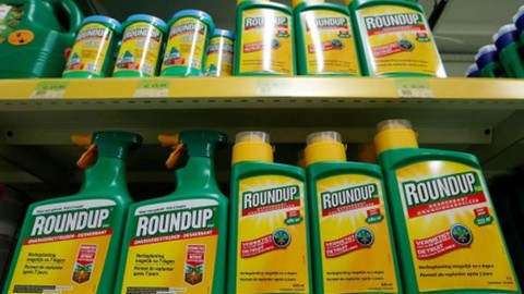 Bayer phải bồi thường 80,9 triệu USD trong vụ thuốc diệt cỏ Roundup - Ảnh 1. Bayer phải bồi thường 80,9 triệu USD trong vụ thuốc diệt cỏ Roundup - Ảnh 1.
