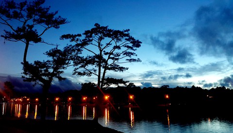 Bà Năm là ai mà người yêu Đà Lạt thương nhớ? - Ảnh 1. Bà Năm là ai mà người yêu Đà Lạt thương nhớ? - Ảnh 1.